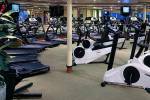 Norwegian Dawn Gallery Image